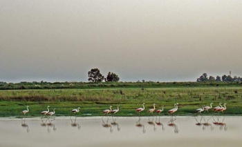 Imagen de la nota: La laguna Cabeza del Buey en Bolívar