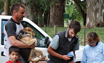 Imagen de la nota: Cronograma de castraciones gratuitas en febrero