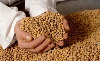 Imagen de la nota: El dólar cerca de 20$ liberaría la exportación