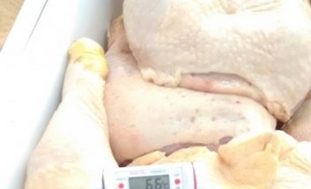 Imagen de la nota: Bromatología comisó 170 kg de pollo por corte de cadena de frío