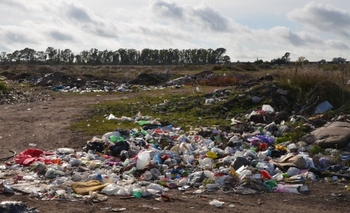 Multas de hasta 36 mil pesos por arrojar basura en la vía pública Imagen de la nota: Multas de hasta 36 mil pesos por arrojar basura en la vía pública