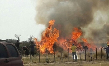El fuego arrasó con más de un millón de hectáreas en tres provincias Imagen de la nota: El fuego arrasó con más de un millón de hectáreas en tres provincias