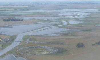 Imagen de la nota: Prevén instalar 