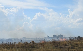 Imagen de la nota: Bomberos trabajó en incendio de pastizales