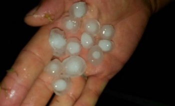 Imagen de la nota: En Olavarría también cayó granizo durante la madrugada