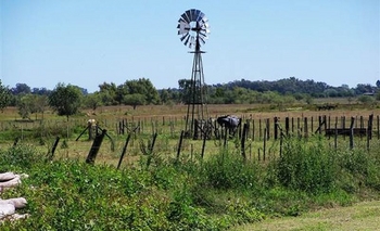 Imagen de la nota: Pirovano: cayó al vacío desde un molino y murió 