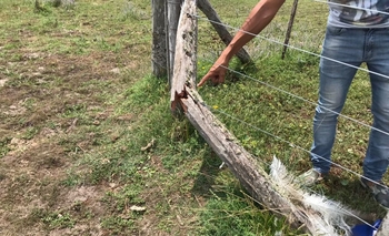 Imagen de la nota: Trabajador murió aplastado por un tractor