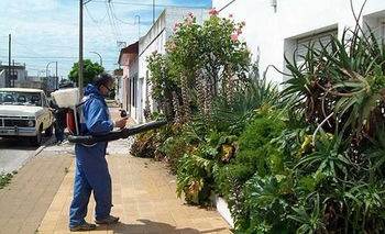 Imagen de la nota: El dengue superó los 3000 casos en la Provincia