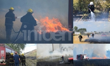 Imagen de la nota: Bomberos acudieron a más de 90 incendios forestales