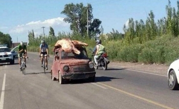 Imagen de la nota: Volcó camión con carne y la gente se llevó la mercadería en los autos