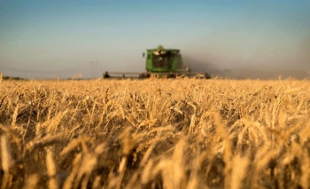 Imagen de la nota: Cosecha fina: esperan crecimiento de 2 millones de toneladas