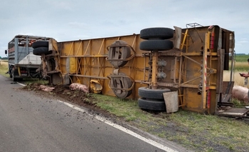 Imagen de la nota: Ruta 205: volcó un camión  cargado de porcinos