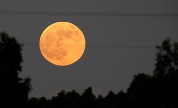 Imagen de la nota: El eclipse de luna a tráves del telescopio del Museo de Ciencias
