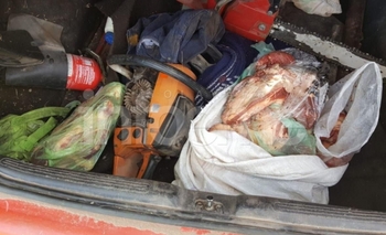 Allanamientos: encontraron carne que sería de abigeato Imagen de la nota: Allanamientos: encontraron carne que sería de abigeato