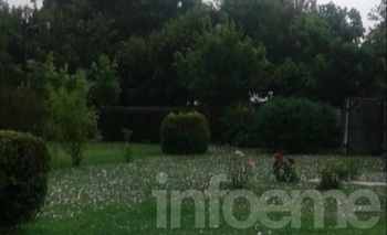 ¿Cuánta lluvia cayó en Olavarría tras la tormenta y el granizo? Imagen de la nota: ¿Cuánta lluvia cayó en Olavarría tras la tormenta y el granizo?