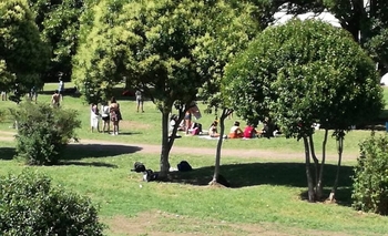 Imagen de la nota: Campamento en la Colonia del Sindicato de Municipales