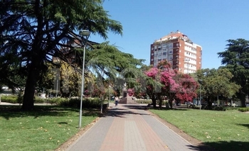 Imagen de la nota: Menos de 20 casos positivos de Covid-19 en Olavarría