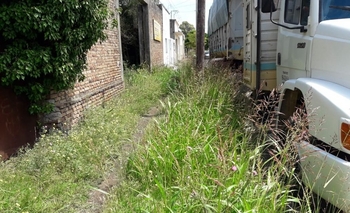 Quejas por falta de limpieza de un terreno Imagen de la nota: Quejas por falta de limpieza de un terreno