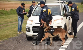 Con “Bruno” realizan operativo antidrogas en el peaje de Hinojo Imagen de la nota: Con “Bruno” realizan operativo antidrogas en el peaje de Hinojo