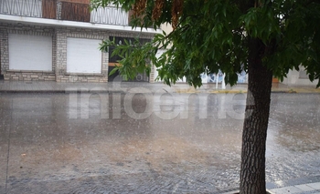 Imagen de la nota: Calor y lluvia para el fin de semana en Olavarría