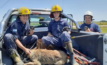 Imagen de la nota: Agradecen a Bomberos por el rescate de varios perros
