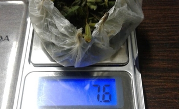 Imagen de la nota: Demoran a un joven por tener 7,6 gramos de marihuana