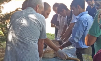 Imagen de la nota: Capacitación sobre medicina veterinaria en animales silvestres