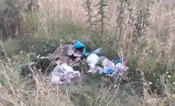 Baldíos abandonados: “hay animales muertos” Imagen de la nota: Baldíos abandonados: “hay animales muertos”