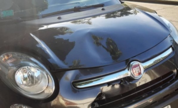 Imagen de la nota: El marido de Piparo, denunciado por lesiones