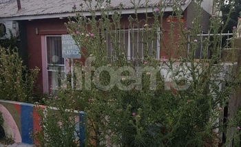 Reclamo: estado de “abandono” de la Escuela de Artes Plásticas Imagen de la nota: Reclamo: estado de “abandono” de la Escuela de Artes Plásticas