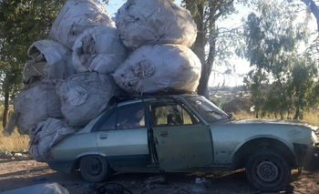 Penoso robo a una familia de cartoneros Imagen de la nota: Penoso robo a una familia de cartoneros