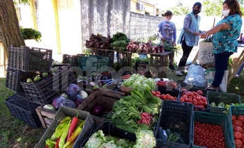 Imagen de la nota: Realizarán una feria de verduras con 