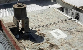 Imagen de la nota: Denuncian que tiene un perro en la terraza en plena ola de calor