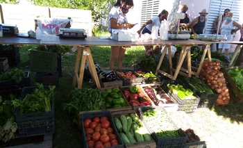 Imagen de la nota: Anuncian feria de verduras para el fin de semana