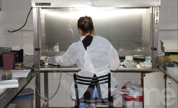 Imagen de la nota: Se realizaron 207 testeos y 91 fueron positivos para Covid