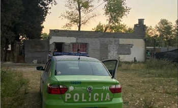 Imagen de la nota: Allanamiento: secuestraron plantas de marihuana