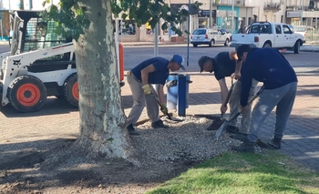 Se realizaron tareas de mantenimiento en la Plaza Central Imagen de la nota: Se realizaron tareas de mantenimiento en la Plaza Central