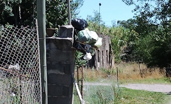 “Hace dos semanas que tengo la basura ahí” Imagen de la nota: “Hace dos semanas que tengo la basura ahí”