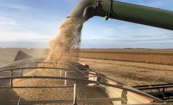 Imagen de la nota: “No hay margen”: el campo renovó sus críticas por la suba de las retenciones