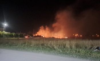 Imagen de la nota: Bomberos registró más de 40 incendios forestales desde que inició el verano