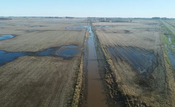 Imagen de la nota: La Provincia prorrogó la emergencia agropecuaria en dos distritos del sudoeste