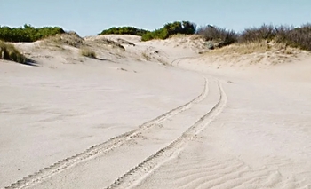 Imagen de la nota: Turistas volcaron en los médanos de Villa Gesell y una mujer resultó herida