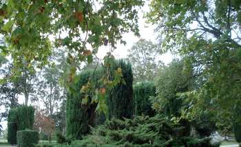 Imagen de la nota: El Parque de Azul, un clásico