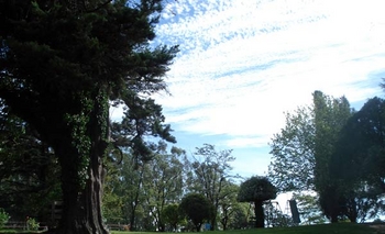 Imagen de la nota: Paraje La Isla: el remanso del Tapalqué