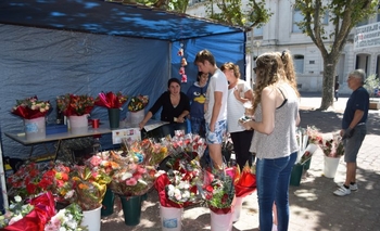 Imagen de la nota: San Valentín en Olavarría: flores, bombones o cena romántica