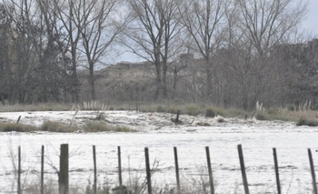 Imagen de la nota: Olavarría dentro de la emergencia agropecuaria