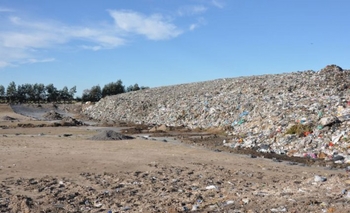 Imagen de la nota: La UCR impulsa un proyecto para producir menos y mejor basura