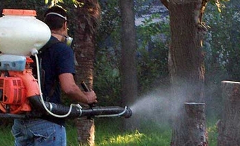 Imagen de la nota: Hallaron larvas del mosquito transmisor del dengue en barrio Luján