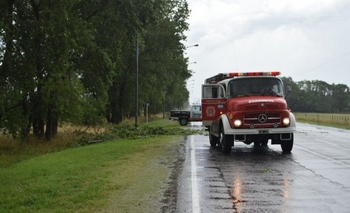Imagen de la nota: Una rama cayó a la autopista Fortabat  por la tormenta