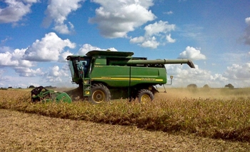 Imagen de la nota: Sube el dólar y las cerealeras comienzan a desprenderse de más divisas